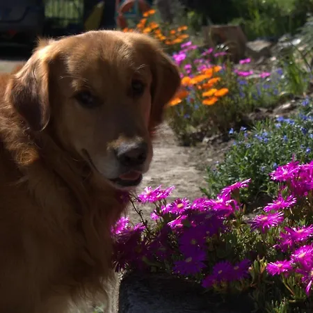 Ca' Bianca Couette-café