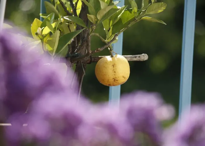 Bed and breakfast Ca' Bianca 3*