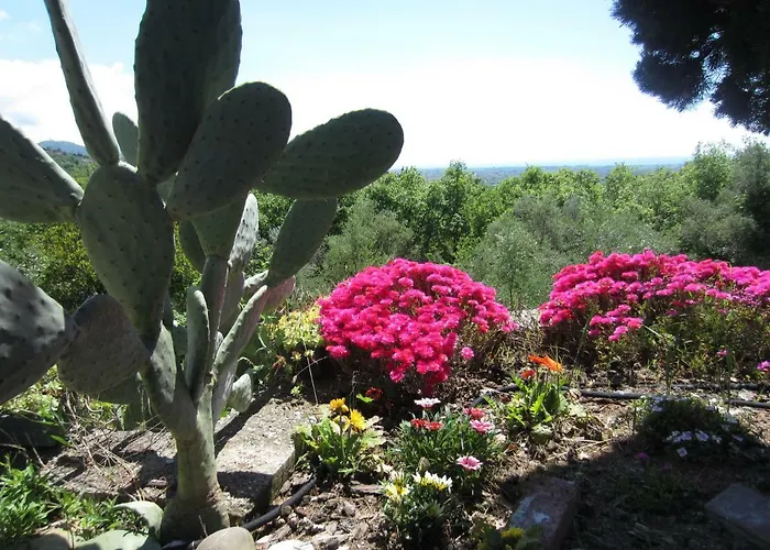 Ca' Bianca Bed and breakfast